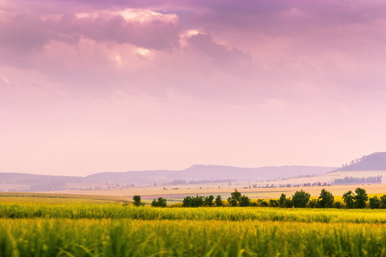 Can Local Food Production Reduce Environmental Impact?